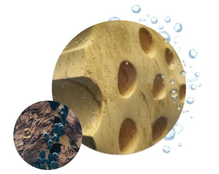 Bacteria and biological debris illustration